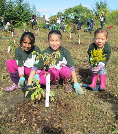 children planting trees at a public event
