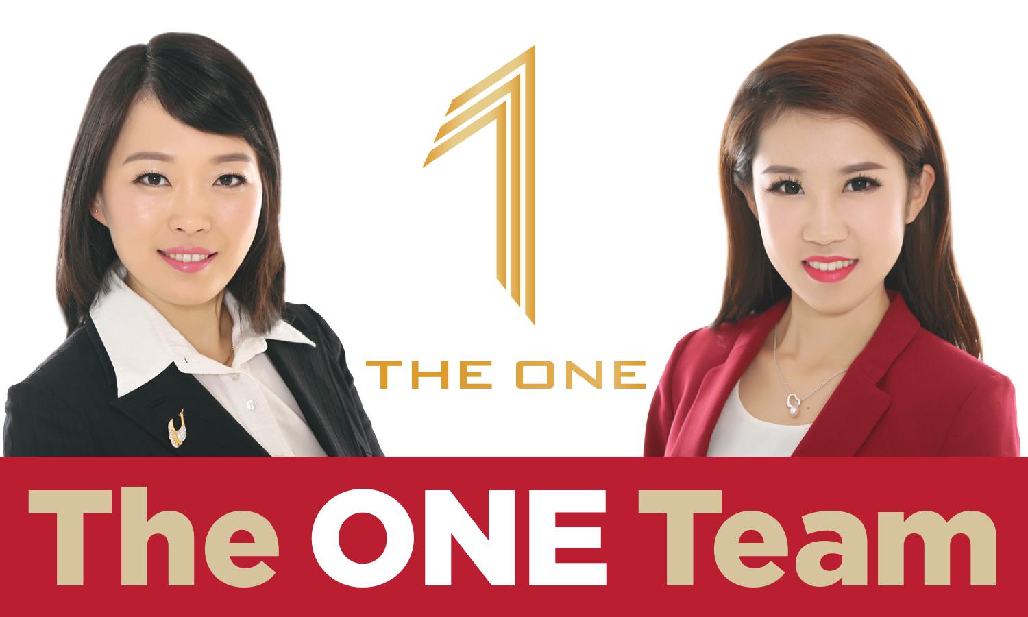 The One Team